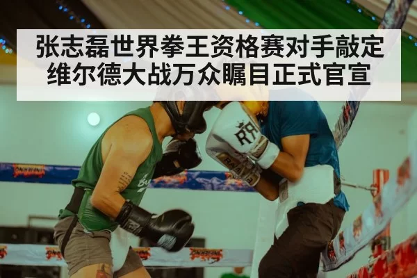 张志磊世界拳王资格赛对手敲定维尔德大战万众瞩目正式官宣