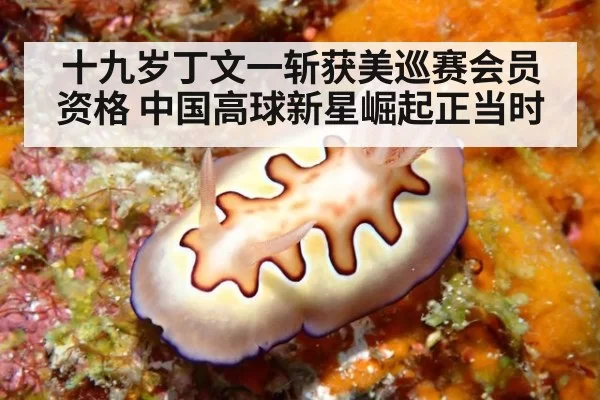 十九岁丁文一斩获美巡赛会员资格 中国高球新星崛起正当时